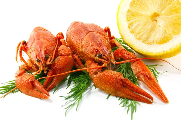 Comida de lagostim cozida — Fotografia de Stock