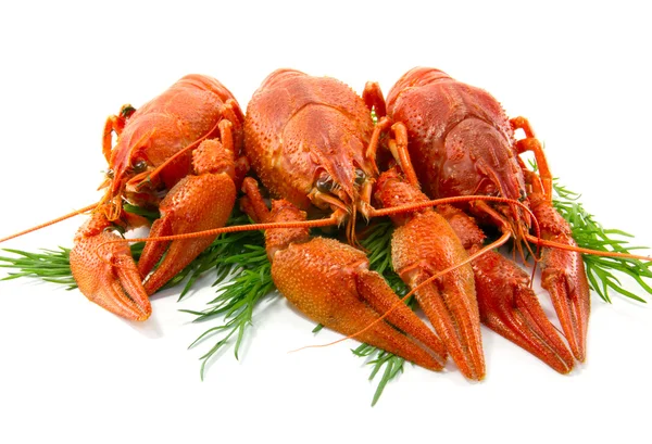 Boiled crawfish food — Stock Photo, Image