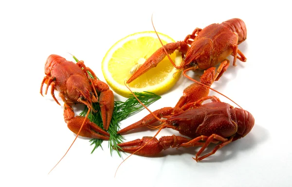 Comida de lagostim cozida — Fotografia de Stock