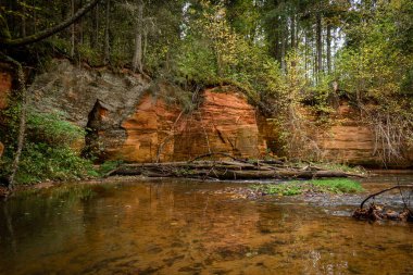 Ligatne nehri kıyısındaki kumtaşı kayalıkları Ligatne, Letonya yakınlarında düşen yapraklar ve ağaçlarla birlikte manzaralı ormanda yürüyüş parkurunda.