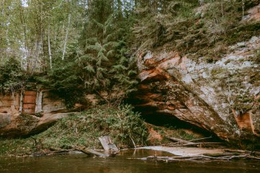 Litvanya 'nın Ligatne kenti yakınlarında bulutlu bir sonbahar gününde Ligatne nehri yürüyüş yolu kenarındaki bir kumtaşı uçurumunda mağara mahzeninde.
