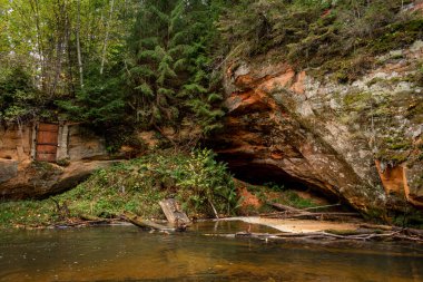 Litvanya 'nın Ligatne kenti yakınlarında bulutlu bir sonbahar gününde Ligatne nehri yürüyüş yolu kenarındaki bir kumtaşı uçurumunda mağara mahzeninde.