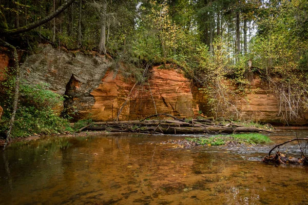 Ligatne nehri kıyısındaki kumtaşı kayalıkları Ligatne, Letonya yakınlarında düşen yapraklar ve ağaçlarla birlikte manzaralı ormanda yürüyüş parkurunda.
