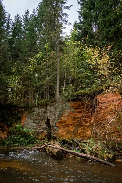 Ligatne nehri kıyısındaki kumtaşı kayalıkları Ligatne, Letonya yakınlarında düşen yapraklar ve ağaçlarla birlikte manzaralı ormanda yürüyüş parkurunda.
