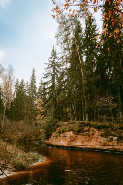 Letonya 'da bulutlu bir sonbahar gününde Amata Nehri kıyısında Stuku Rock