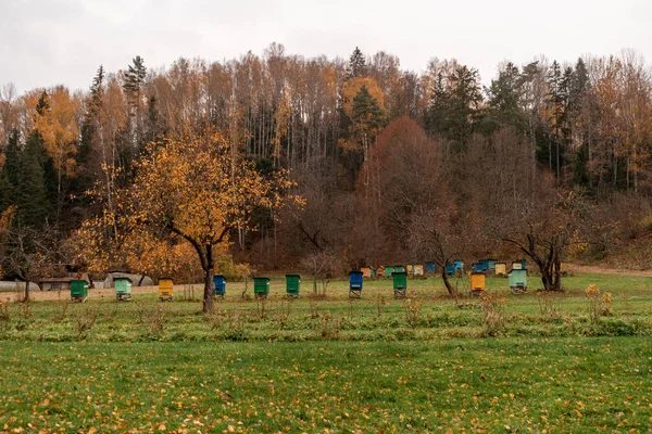 Bee houses in the garden by a forest during cloudy autumn day