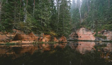 Kum taşı kayalıkları ve Letonya 'daki Brasla nehrinin kıyısında bulutlu bir günde daima yeşil bir orman.