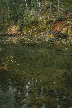 Ayna kayalıkları ve mağara Cirulisi 'deki güzel ormanlarla çevrili Cesis, Letonya yakınlarındaki doğa patikaları.