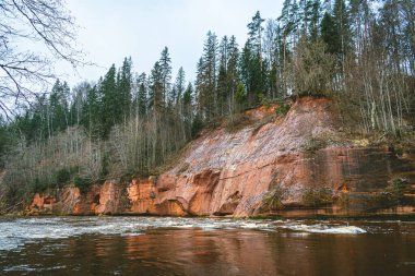 Gauja Ulusal Parkı 'ndaki Gauja' nın kasvetli sonbahar gününde Letonya 'nın en yüksek devonyalı kayası Kuku kayalıkları 43 metre.