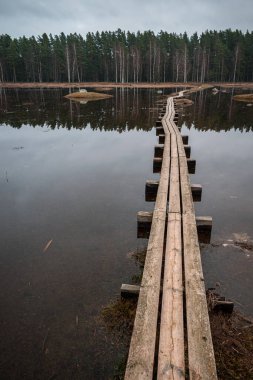 Gölde ahşap yürüyüş yolu Letonya 'da arka planda ormanla birlikte küçük adaları birbirine bağlıyor.