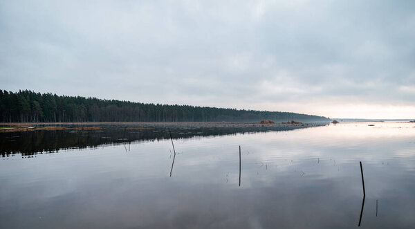Lake Engure with the forest in the background in Latvia. Reflecting and calm water