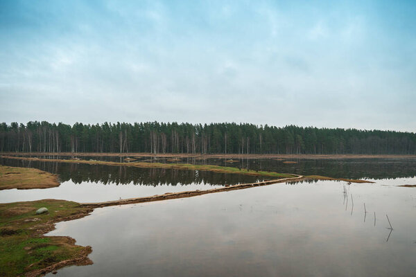 Wooden walking trail in the lake Engure in Latvia with the forest in the background connecting small islands