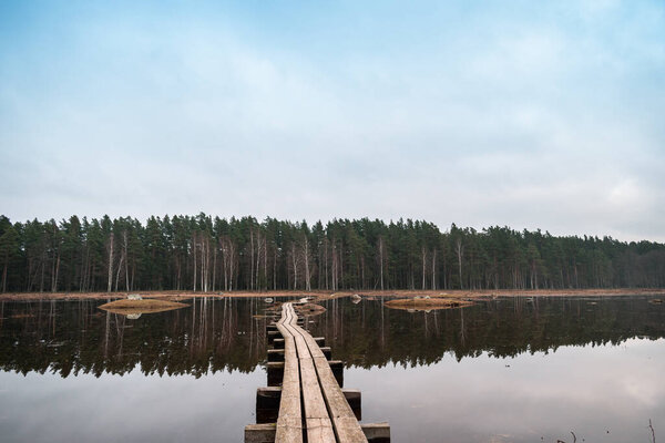 Wooden walking trail in the lake Engure in Latvia with the forest in the background connecting small islands