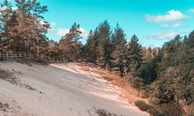 Letonya 'da güneşli bir yaz gününde Purciems yakınlarındaki beyaz kum tepecikleri güzel yeşil ormanlarla çevrilidir.