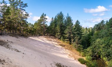 Letonya 'da güneşli bir yaz gününde Purciems yakınlarındaki beyaz kum tepecikleri güzel yeşil ormanlarla çevrilidir.