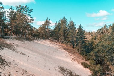 Letonya 'da güneşli bir yaz gününde Purciems yakınlarındaki beyaz kum tepecikleri güzel yeşil ormanlarla çevrilidir.