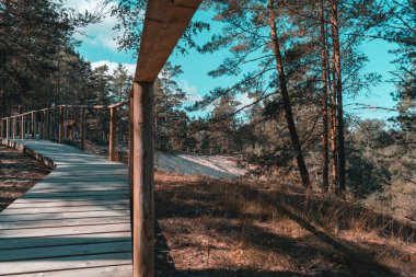 Purciems, Letonya 'daki Beyaz Kumul' un oradaki tahta patika güneşli yaz gününde yeşil ormanlarla çevrili.
