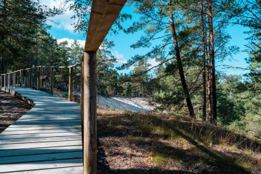 Purciems, Letonya 'daki Beyaz Kumul' un oradaki tahta patika güneşli yaz gününde yeşil ormanlarla çevrili.