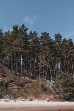 Evazi kayalıkları ya da Letonya 'daki Baltık Denizi kıyısında güneşli bir yaz günü. Mavi gökyüzü, mavi deniz, beyaz kum.