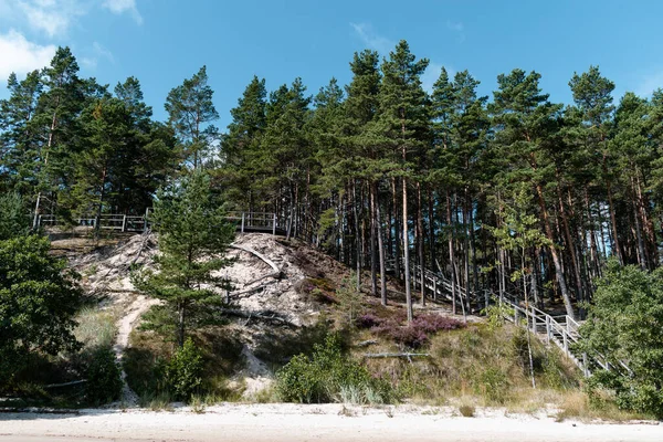 Evazi kayalıkları ya da Letonya 'daki Baltık Denizi kıyısında güneşli bir yaz günü. Mavi gökyüzü, mavi deniz, beyaz kum.