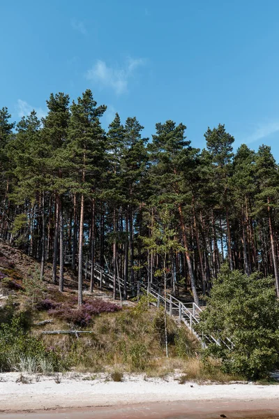 Evazi kayalıkları ya da Letonya 'daki Baltık Denizi kıyısında güneşli bir yaz günü. Mavi gökyüzü, mavi deniz, beyaz kum.