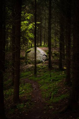 Bulutlu bir sonbahar günü Letonya, Dobele yakınlarındaki Pokaini Ormanı 'nda büyük bir kaya yığını.
