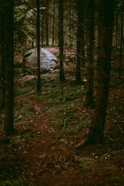 Bulutlu bir sonbahar günü Letonya, Dobele yakınlarındaki Pokaini Ormanı 'nda büyük bir kaya yığını.