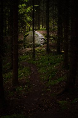 Bulutlu bir sonbahar günü Letonya, Dobele yakınlarındaki Pokaini Ormanı 'nda büyük bir kaya yığını.