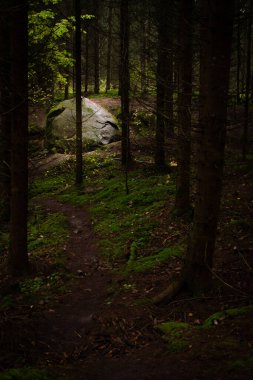 Bulutlu bir sonbahar günü Letonya, Dobele yakınlarındaki Pokaini Ormanı 'nda büyük bir kaya yığını.