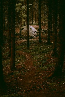 Bulutlu bir sonbahar günü Letonya, Dobele yakınlarındaki Pokaini Ormanı 'nda büyük bir kaya yığını.