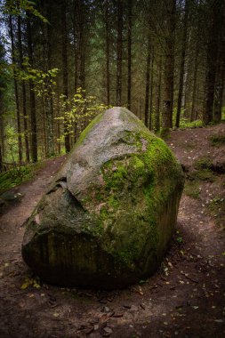 Bulutlu bir sonbahar günü Letonya, Dobele yakınlarındaki Pokaini Ormanı 'nda büyük bir kaya yığını.