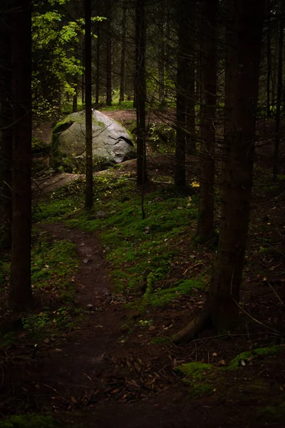 Bulutlu bir sonbahar günü Letonya, Dobele yakınlarındaki Pokaini Ormanı 'nda büyük bir kaya yığını.