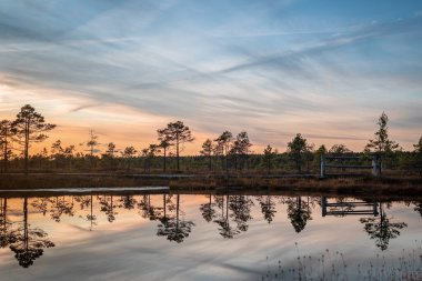 Muhteşem Kemeri bataklığı Jurmala, Letonya yakınlarındaki Kemeri Milli Parkı 'nda güzel ve renkli günbatımında