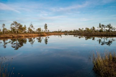 Letonya, Jurmala yakınlarındaki Kemeri Milli Parkı 'ndaki Büyük Kemeri bataklığının güzel gölü.