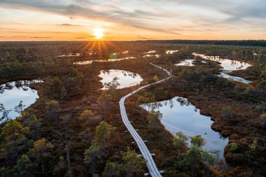 Muhteşem Kemeri bataklığı Jurmala, Letonya yakınlarındaki Kemeri Milli Parkı 'nda güzel ve renkli günbatımında