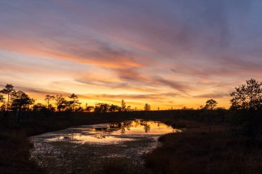 Muhteşem Kemeri bataklığı Jurmala, Letonya yakınlarındaki Kemeri Milli Parkı 'nda güzel ve renkli günbatımında