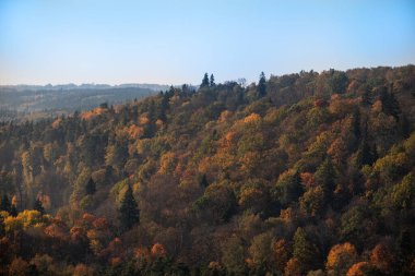 Güneşli bir sonbahar günü Letonya 'nın Sigulda kentindeki Gauja nehrinin kıyısında güzel ve renkli bir orman vadisi.
