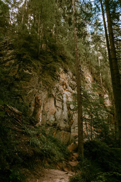 Wanderweg Den Sandsteinfelsen Von Licu Und Langu Fluss Gauja Lettland — Stockfoto