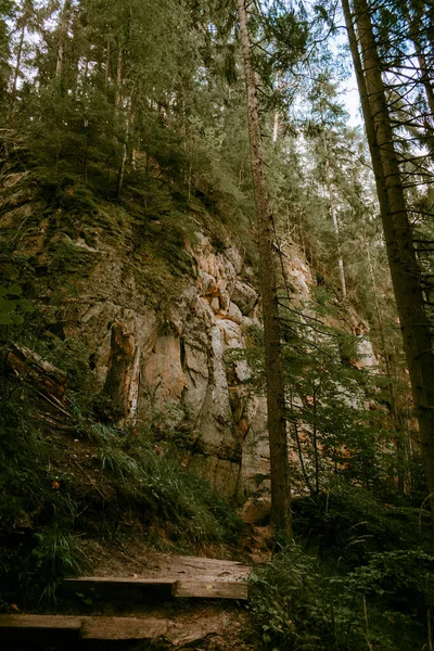 Sentier Pédestre Par Les Falaises Grès Licu Langu Bord Gauja — Photo