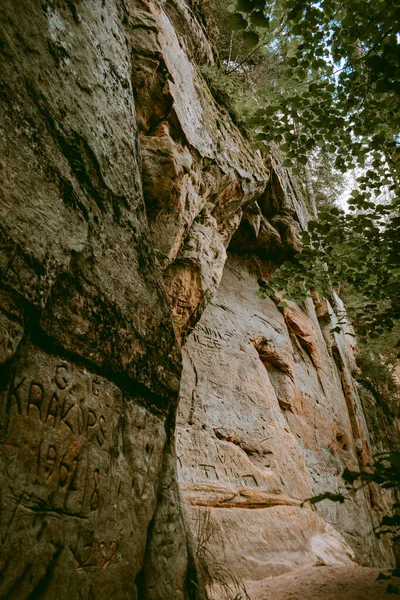 Turista Útvonal Licu Langu Homokkő Sziklák Mellett Gauja Folyó Mellett — Stock Fotó