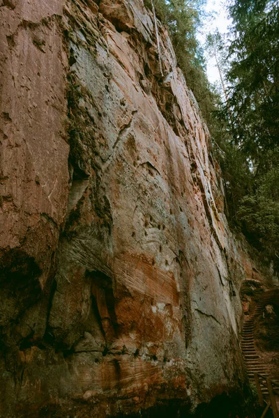 ラトビアのガウジャ川によるリツ川とラング砂岩の崖によるハイキングコース — ストック写真