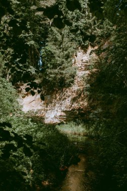 Loja nehrinin kıyısındaki kumtaşı kayalıkları. Güneş ışığı, orman, akan nehir. Vintage filtresi.