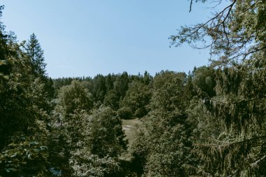 Loja nehri kıyısındaki vadinin manzarası. Ufukta bereketli ve yeşil bir orman görünüyor. Vintage filtresi