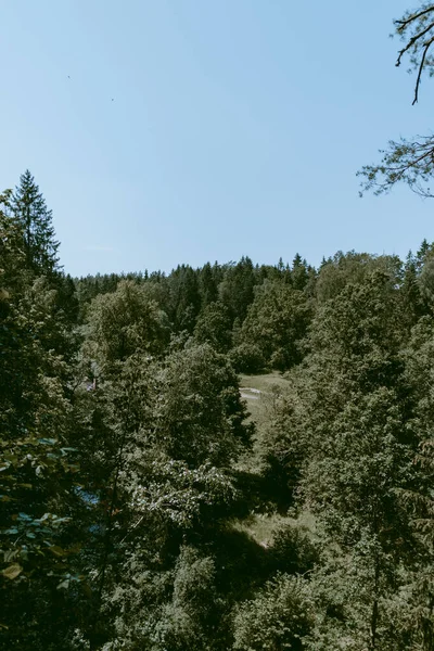 Landschaftsaufnahme Des Tals Fluss Loja Saftiger Und Grüner Wald Bis — Stockfoto