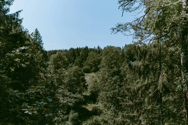 Paysage Vallée Par Rivière Loja Forêt Luxuriante Verte Horizon Filtre — Photo