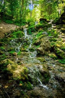Kazu Grava Şelalesi Letonya 'daki güneş ışığıyla aydınlanan yeşil ve yemyeşil bir ormanın ortasında.