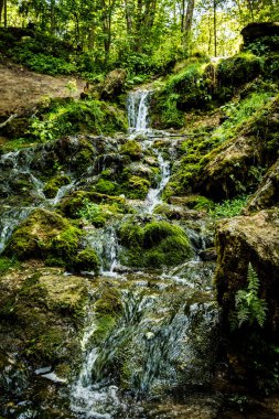 Kazu Grava Şelalesi Letonya 'daki güneş ışığıyla aydınlanan yeşil ve yemyeşil bir ormanın ortasında.