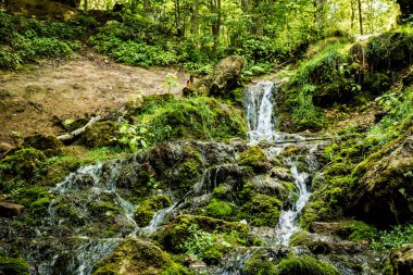 Kazu Grava Şelalesi Letonya 'daki güneş ışığıyla aydınlanan yeşil ve yemyeşil bir ormanın ortasında.