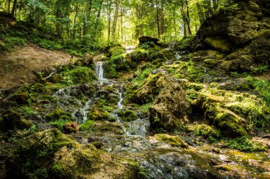 Kazu Grava Şelalesi Letonya 'daki güneş ışığıyla aydınlanan yeşil ve yemyeşil bir ormanın ortasında.