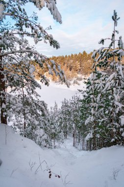 Kış harikalar diyarında donmuş bir göl. Çam ağaçları karla kaplı, sıcak güneş ışığı ve mavi gökyüzü